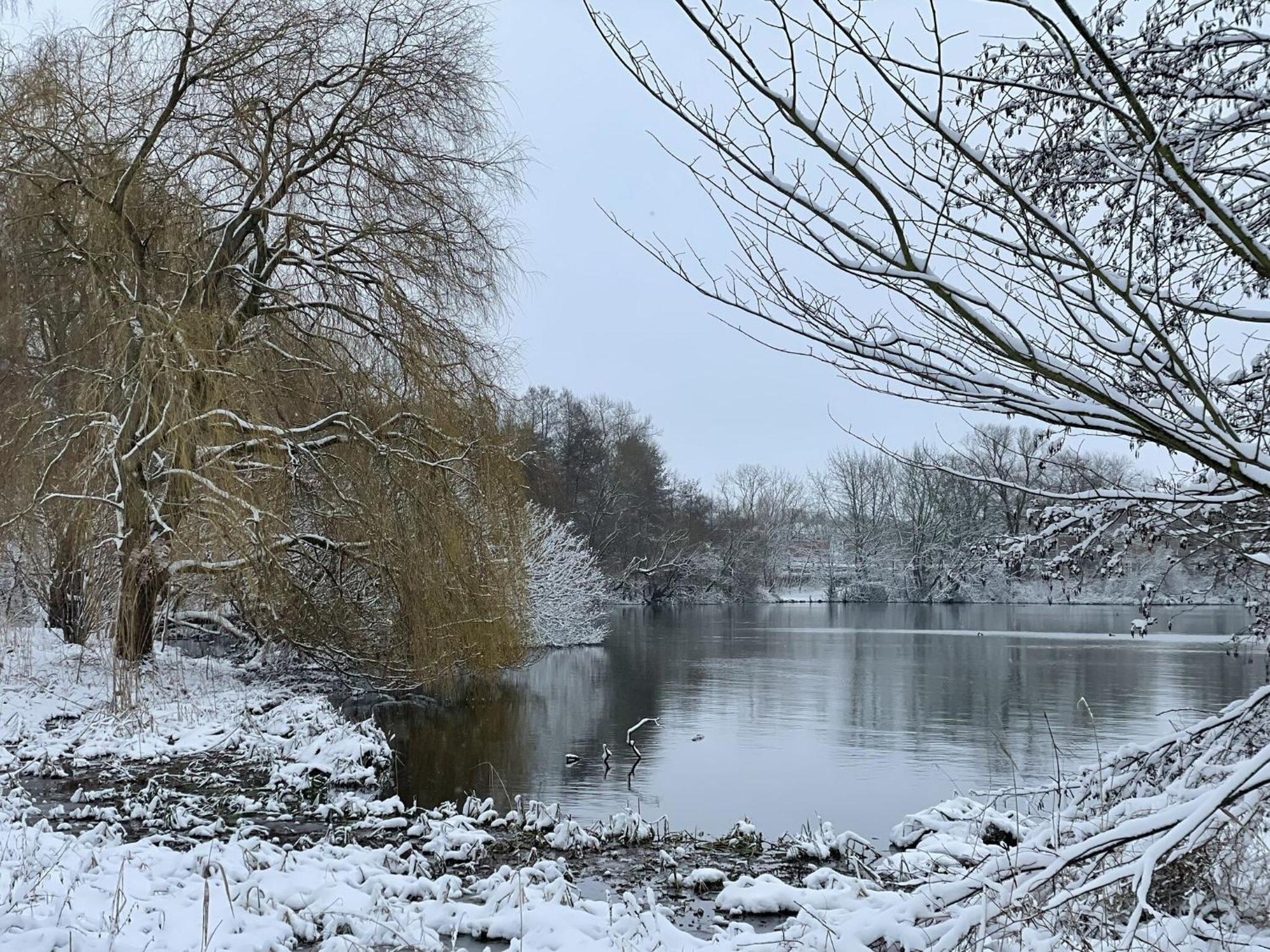 Flat In Eutin On The Kleiner Eutiner See Lake Εξωτερικό φωτογραφία