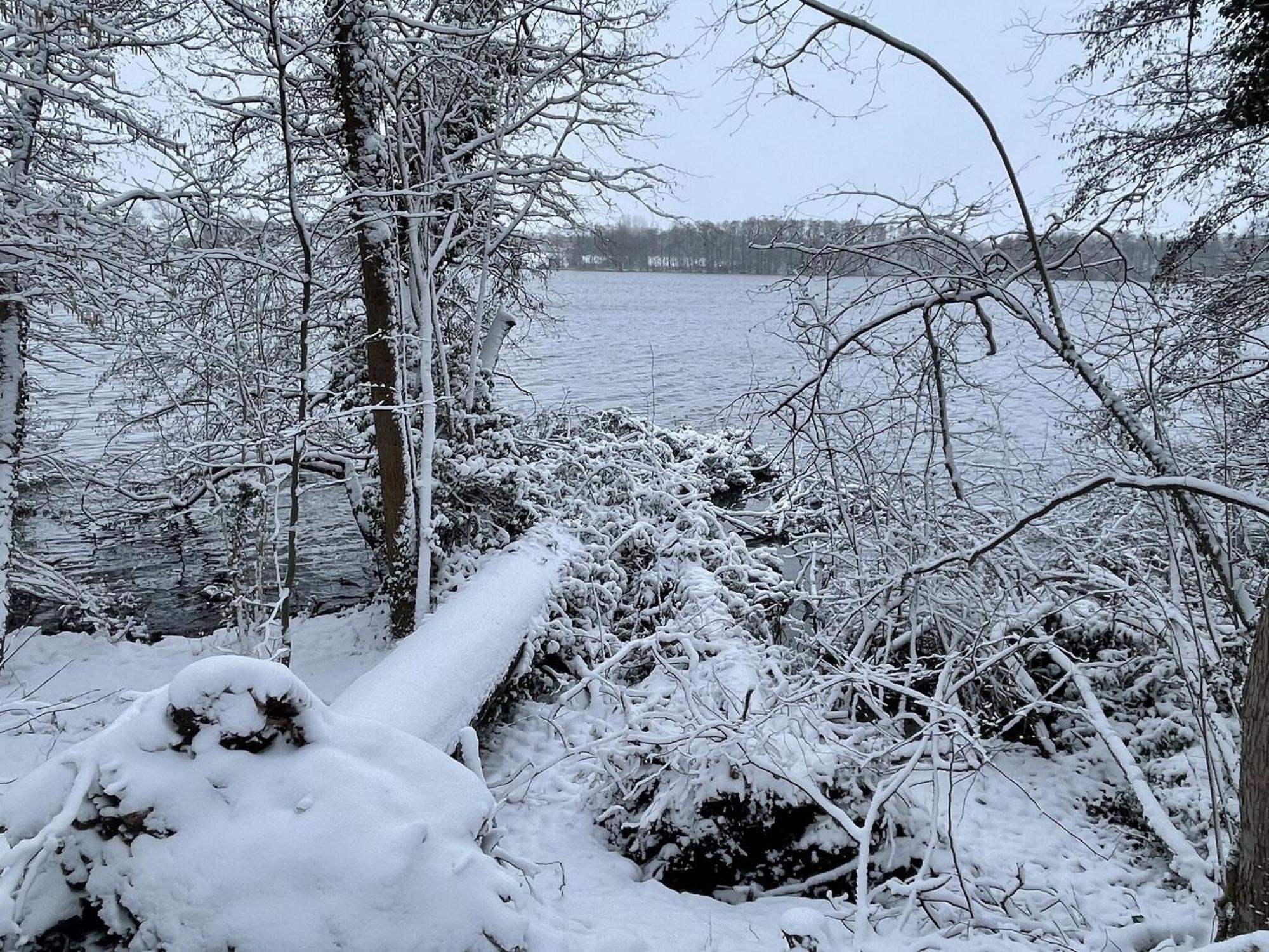 Flat In Eutin On The Kleiner Eutiner See Lake Εξωτερικό φωτογραφία