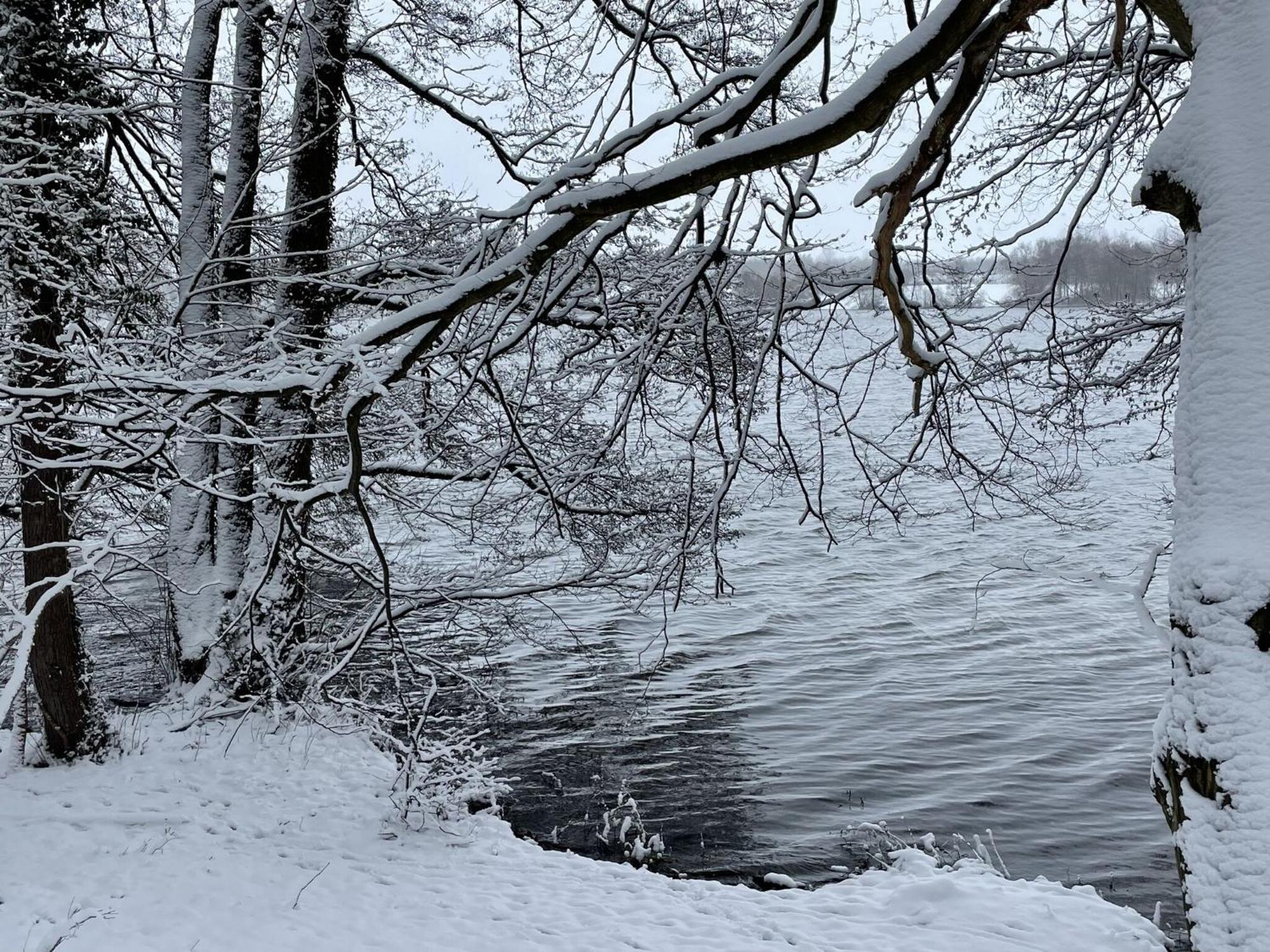 Flat In Eutin On The Kleiner Eutiner See Lake Εξωτερικό φωτογραφία