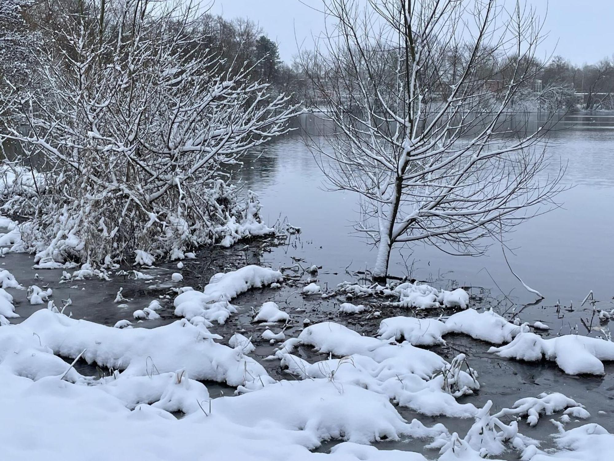 Flat In Eutin On The Kleiner Eutiner See Lake Εξωτερικό φωτογραφία