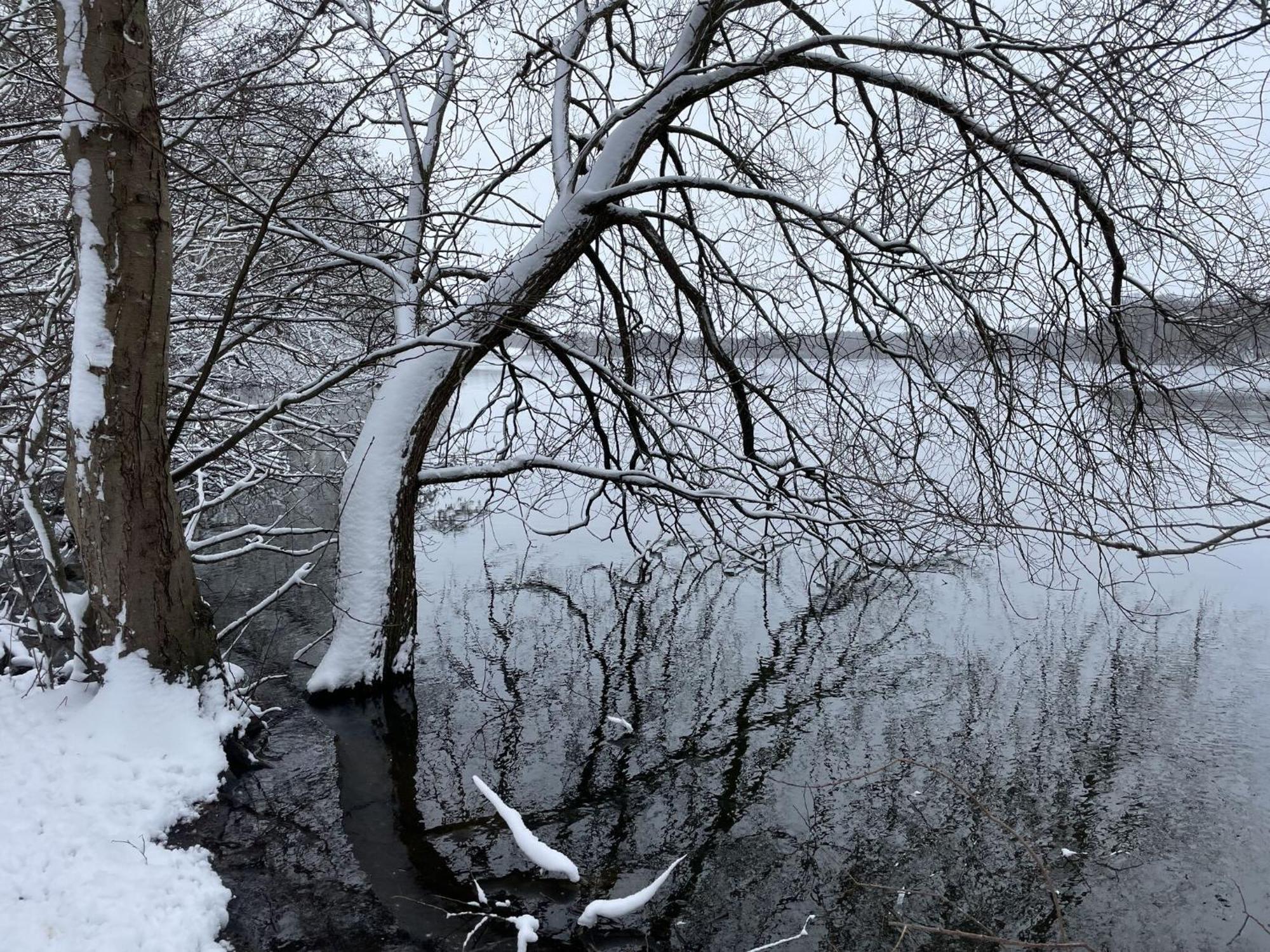 Flat In Eutin On The Kleiner Eutiner See Lake Εξωτερικό φωτογραφία