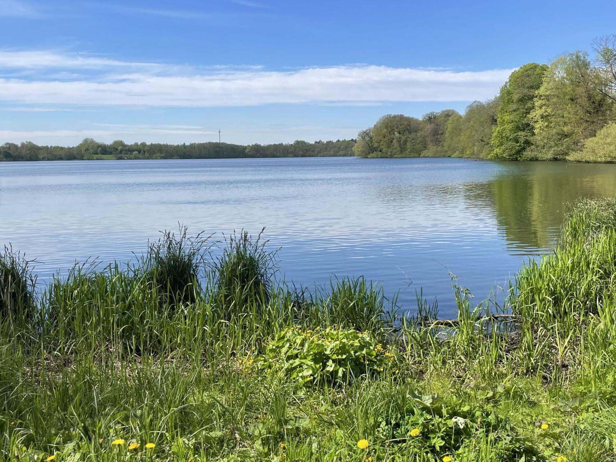 Flat In Eutin On The Kleiner Eutiner See Lake Εξωτερικό φωτογραφία