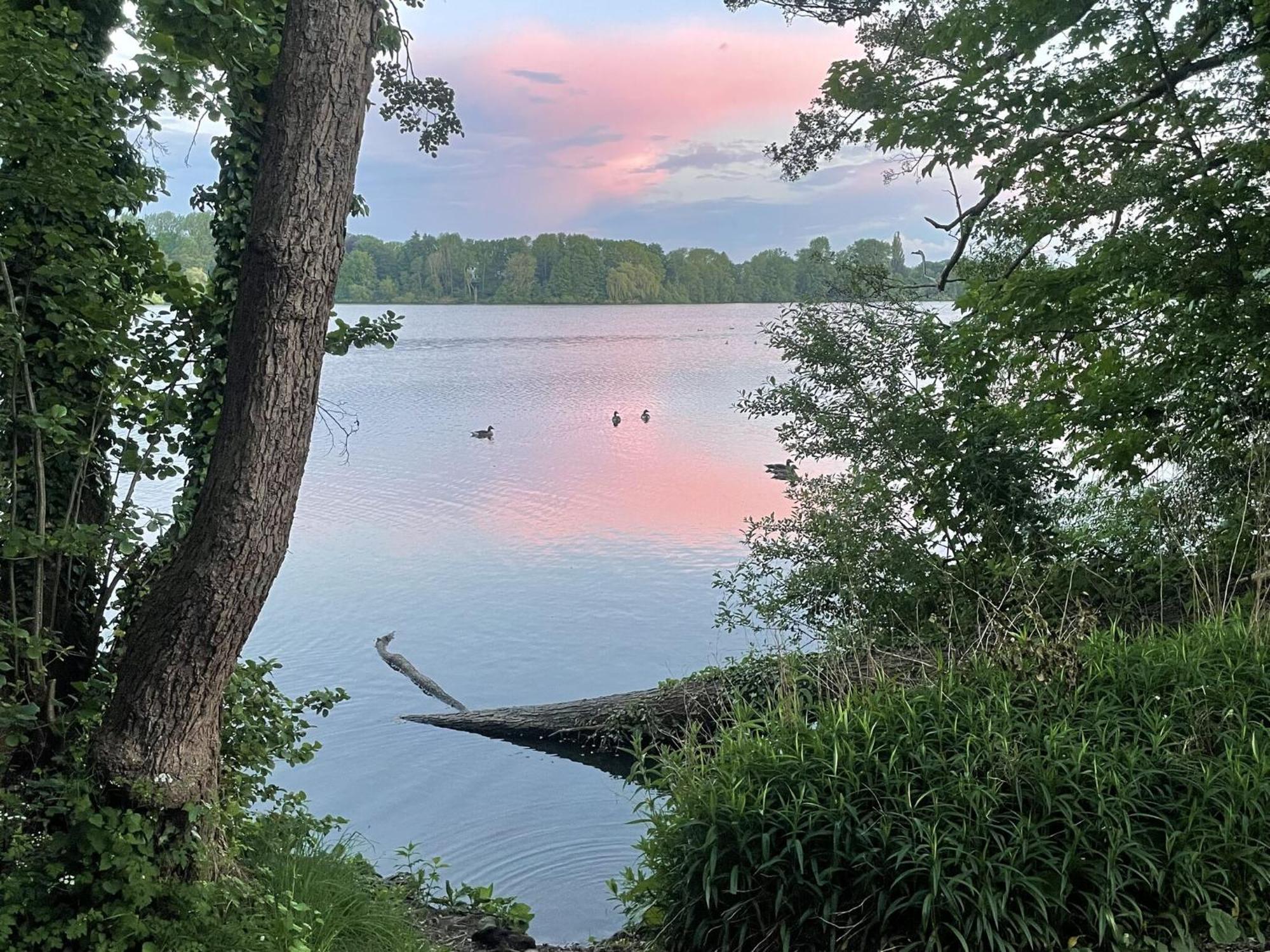 Flat In Eutin On The Kleiner Eutiner See Lake Εξωτερικό φωτογραφία